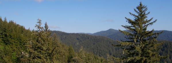 Defending Science-Based Forest Management in Oregon (OR)