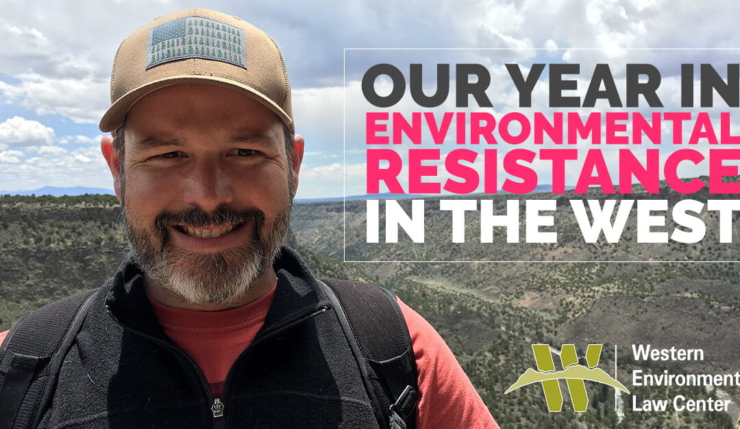 Erik Year End Graphic FB 2018