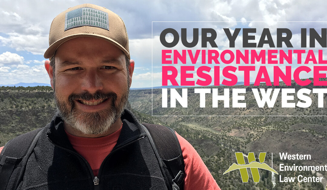 Erik Year End Graphic FB 2018