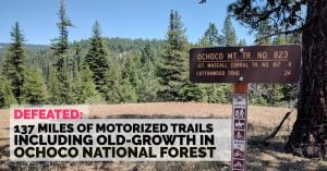 We prevented 137 miles of motorized trails through old growth forest in the ochoco national forest
