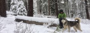 boy and dog enjoying public lands