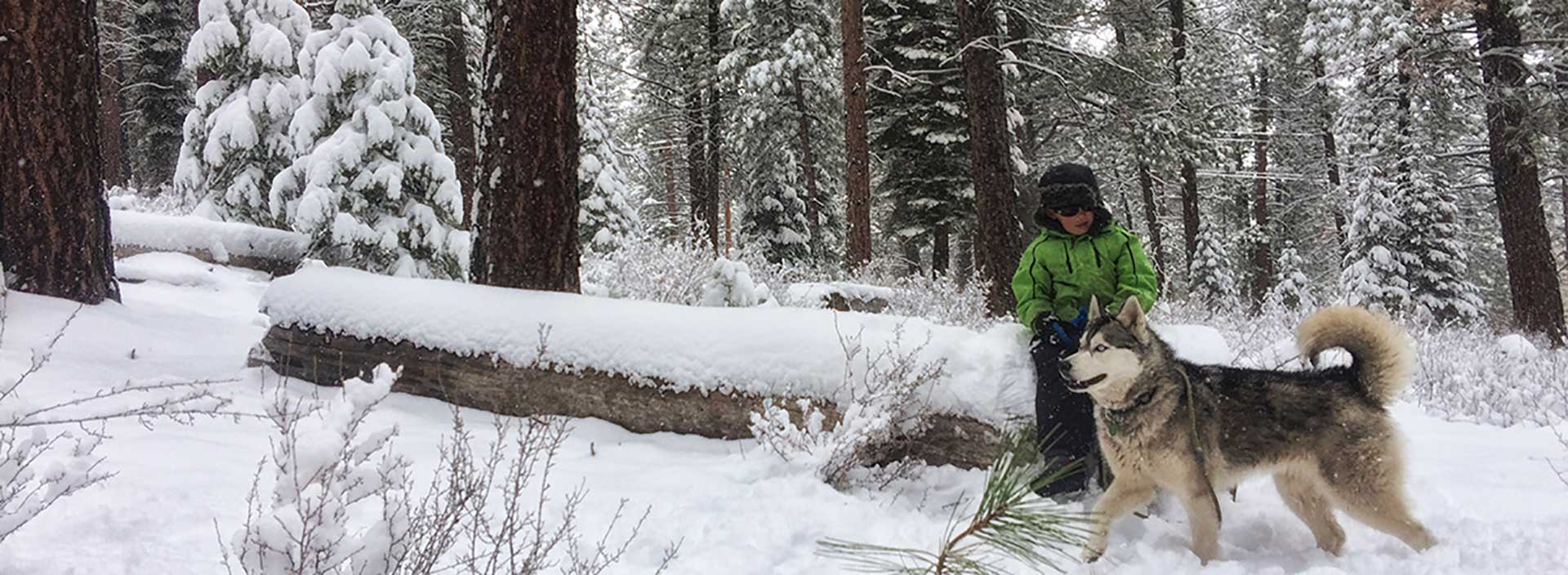 Banishing M-44 Cyanide Bombs from Public Lands