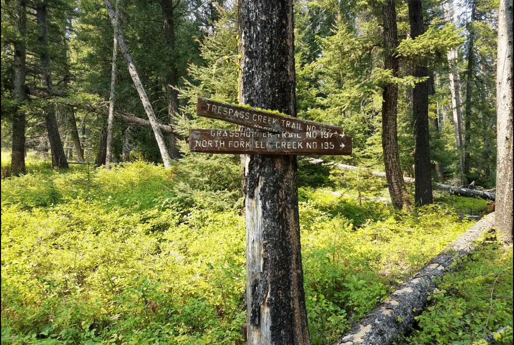 Crazy Mountains 267 trail signs