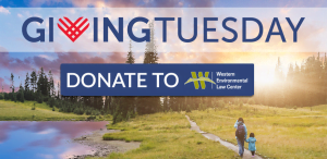 DONATE TO WELC FOR GIVING TUESDAY