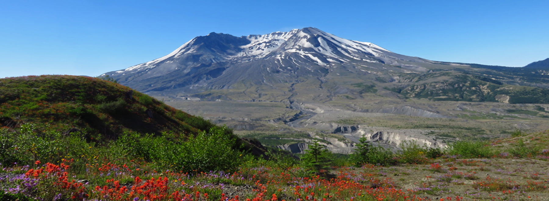 Northwest Forest Plan, Survey & Manage Standard: Rare Species Protected