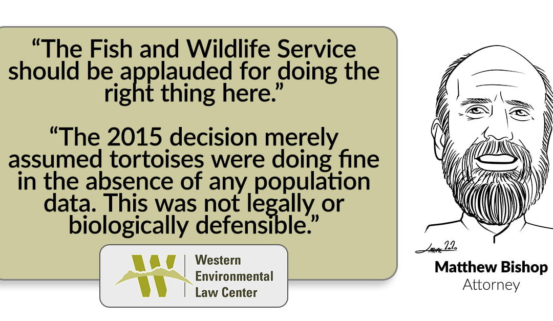 Matt Quote Sonoran Desert Tortoise Agreement