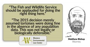 “The Fish and Wildlife Service should be applauded for doing the right thing here,” said Matthew Bishop, an attorney with the Western Environmental Law Center representing the groups. “The 2015 decision merely assumed tortoises were doing fine in the absence of any population data. This was not legally or biologically defensible.”
