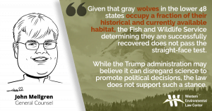 “Given that gray wolves in the lower 48 states occupy a fraction of their historical and currently available habitat, the Fish and Wildlife Service determining they are successfully recovered does not pass the straight-face test,” said John Mellgren, an attorney with the Western Environmental Law Center. “While the Trump administration may believe it can disregard science to promote political decisions, the law does not support such a stance. We look forward to having a court hear our science-based arguments for why wolves are not recovered throughout the contiguous U.S. and need Endangered Species Act protections to fully recover.”