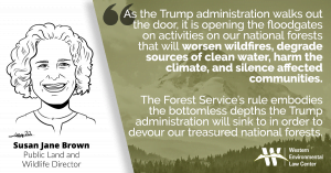 “As the Trump administration walks out the door, it is opening the floodgates on activities on our national forests that will worsen wildfires, degrade sources of clean water, harm the climate, and silence affected communities,” said Susan Jane Brown, public lands and wildlife director at the Western Environmental Law Center. “The Forest Service’s rule embodies the bottomless depths the Trump administration will sink to in order to devour our treasured national forests.”