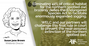 Eliminating 42% of critical habitat for the northern spotted owl brazenly defies the Endangered Species Act to facilitate enormously expanded logging. WELC and our partners will challenge this final rule in court to prevent the near-assured extinction of the northern spotted owl.