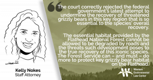 “The court correctly rejected the federal government’s latest attempt to undermine the recovery of threatened grizzly bears in this key region that is so essential to the species’ overall recovery,” said Kelly Nokes, an attorney with the Western Environmental Law Center. “Grizzly bears are not yet recovered across their historic range and the essential habitat provided by the Flathead National Forest cannot be allowed to be degraded by roads and the threats such development poses to the true recovery of this iconic species. The Forest Service can – and must – do more to protect key grizzly bear habitat on the Flathead.”