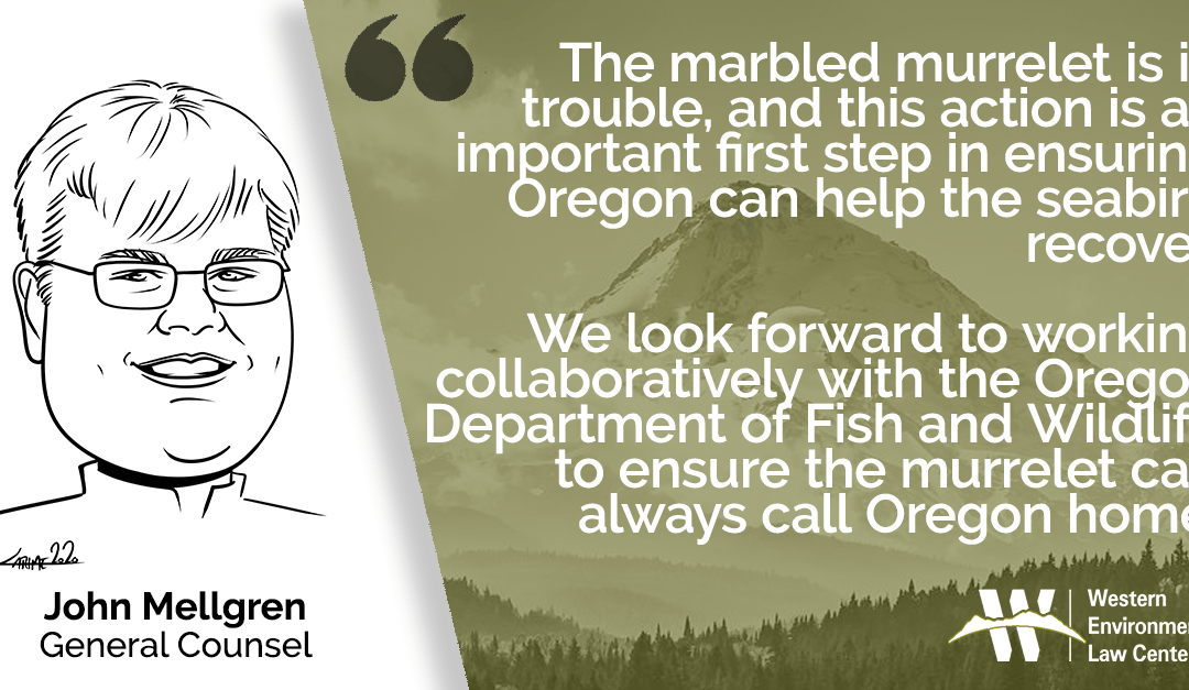john marbled murrelet victory quote
