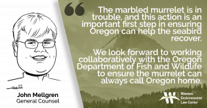 “The marbled murrelet is in trouble, and today’s action is an important first step in ensuring Oregon can help the seabird recover,” said John Mellgren, general counsel for the Western Environmental Law Center. “We look forward to working collaboratively with the Oregon Department of Fish and Wildlife to ensure the murrelet can always call Oregon home.”