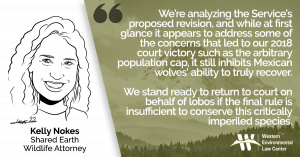 “We’re analyzing the Service’s proposed revision, and while at first glance, it appears to address some of the concerns that led to our 2018 court victory – such as the arbitrary population cap and excessive levels of legal killing at the behest of livestock and hunting interests – it still inhibits Mexican wolves’ ability to truly recover throughout their suitable, historic habitats across the Southwest,” said Kelly Nokes, Shared Earth wildlife attorney for the Western Environmental Law Center. “We are eager to provide our perspective in the upcoming 90-day comment period and we stand ready to return to court on behalf of lobos if the final rule is insufficient to conserve this critically imperiled species.”