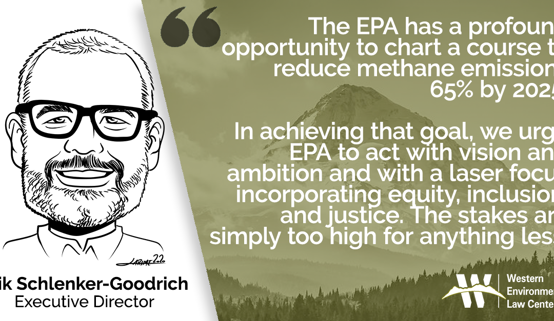 Erik Biden EPA Methane Rules 2