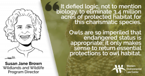 “It defied logic, not to mention biology, to eliminate 3.4 million acres of protected habitat for this charismatic species,” said Susan Jane Brown, wildlands and wildlife program director at the Western Environmental Law Center. “Owls are so imperiled that endangered status is appropriate; it only makes sense to return essential protections to owl habitat.”