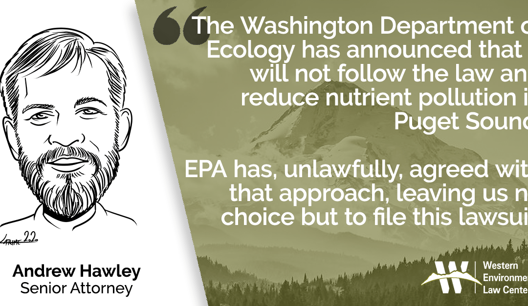 Andrew Puget Sound TMDL Filing Quote
