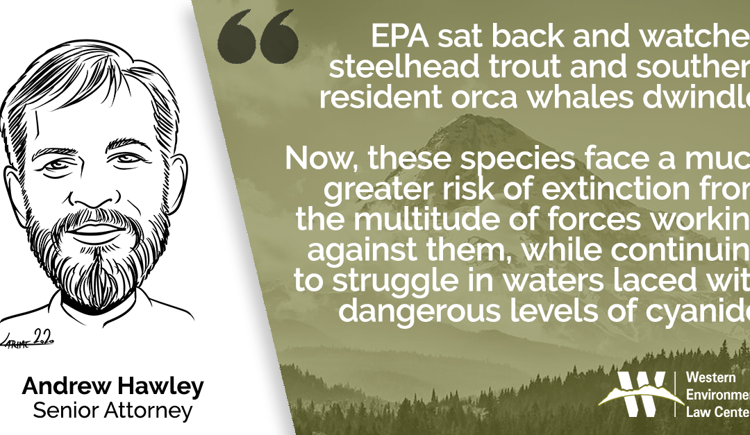 Andrew Steelhead Orca Cyanide Quote