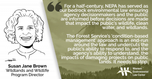 “For a half-century, NEPA has served as our bedrock environmental law ensuring agency decisionmakers and the public are informed before decisions are made that impact the public’s wildlife, clean water, and wildlands,” said Susan Jane Brown of the Western Environmental Law Center, one of the signatories of the letter. “The Forest Service’s ‘condition-based management’ approach is an end-run around the law and undercuts the public’s ability to respond to, and the agency’s ability to understand, the impacts of damaging projects on public lands. It needs to stop.”