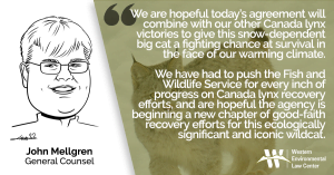 “We are hopeful today’s agreement will combine with our other Canada lynx victories to give this snow-dependent big cat a fighting chance at survival in the face of our warming climate,” said John Mellgren, general counsel at the Western Environmental Law Center. “We have had to push the Fish and Wildlife Service for every inch of progress on Canada lynx recovery efforts, and are hopeful the agency is beginning a new chapter of good-faith recovery efforts for this ecologically significant and iconic wildcat.”