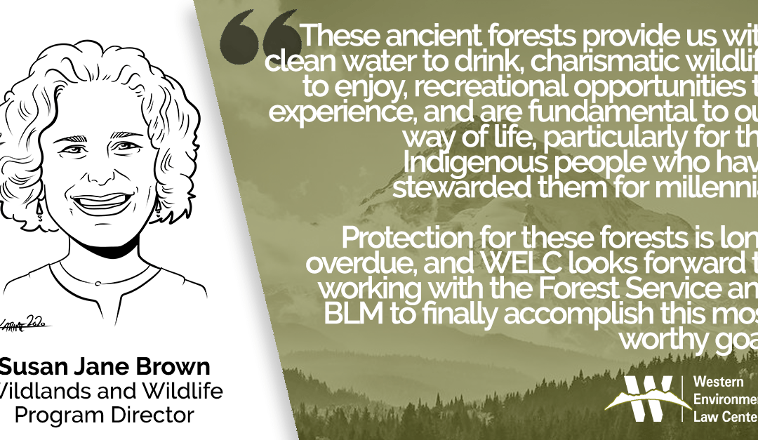 SJ old-growth biden quote