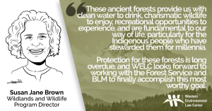 “Protecting the old growth cathedral forests of the Pacific Northwest has been my passion and profession for decades,” said Susan Jane Brown, Wildlands and Wildlife Program director at the Western Environmental Law Center. “These ancient forests provide us with clean water to drink, charismatic wildlife to enjoy, recreational opportunities to experience, and are fundamental to our way of life, particularly for the Indigenous people who have stewarded them for millennia. Protection for these forests is long overdue, and WELC looks forward to working with the Forest Service and BLM to finally accomplish this most worthy goal.”