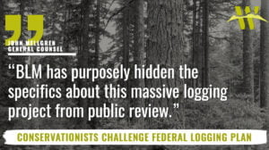 Black and white background image of a forest with headline reading, "Conservationists Challenge Federal Logging Plan" and a quote from John Mellgren, General Counsel that reads, "BLM has purposely hidden the specifics about this massive logging project from public review."