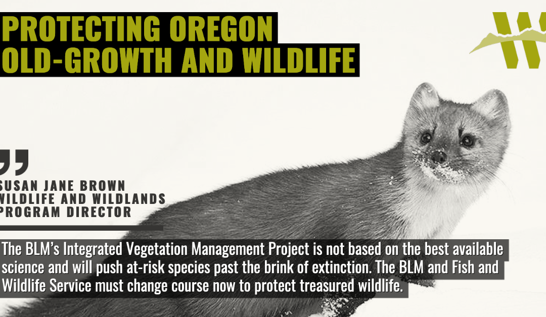Pacific Marten Oregon Logging NOI Graphic