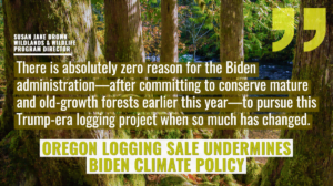 “The Flat Country timber sale would harm the climate, destroy thousands of acres of mature and old-growth forests, harm threatened northern spotted owls, and further impair the McKenzie River Watershed that is still reeling from a 2020 megafire driven by climate change,” said Susan Jane Brown, Wildlands and Wildlife Program director at the Western Environmental Law Center. “There is absolutely zero reason for the Biden administration—after committing to conserve mature and old-growth forests earlier this year—to pursue this Trump-era logging project when so much has changed. This is the Forest Service’s last chance to heed this new information before it makes a tragic and avoidable mistake.”