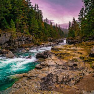 Western Environmental Law Center - We Defend the West