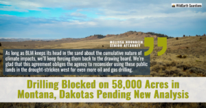 “As long as the Bureau of Land Management keeps its head in the sand about the cumulative nature of climate impacts, we’ll keep forcing them back to the drawing board,” said Melissa Hornbein, senior attorney for the Western Environmental Law Center. “We’re glad that this agreement obliges the agency to reconsider using these public lands in the drought-stricken western U.S. for even more oil and gas drilling.”