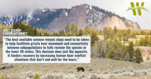 “The best available science reveals steps need to be taken to help facilitate grizzly bear movement and connectivity between subpopulations to fully recover the species in the lower 48 states,” said Matthew Bishop, an attorney with the Western Environmental Law Center representing the groups. “This decision does just the opposite. It hinders recovery by increasing human-bear conflict situations that don’t end well for the bears.”
