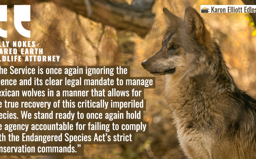 Kelly Mexican wolves filing quote FB