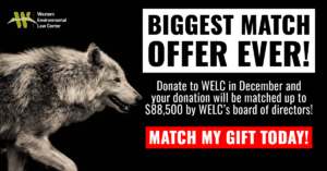 donate in december 2024 and have your gift matched up to $88,500 total in our biggest match ever!