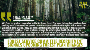 “The Northwest Forest Plan was the world’s first ecosystem management plan, and while many elements have withstood the test of time, a warming climate compels a science-based update so it can achieve its conservation objectives,” said Susan Jane Brown, senior attorney for the Western Environmental Law Center. “WELC and our partners have relied on the Northwest Forest Plan since its inception to deliver clean drinking water to communities, provide recreational opportunities for the region, and to ensure the viability of iconic wildlife. Today, we need a contemporary plan that is adapted to rapidly changing environmental conditions driven by climate change. An updated plan should reflect the Biden administration’s priorities: protecting mature and old-growth forests, preserving biodiversity, and restoring forests for wildfire resilience. We look forward to the opportunity to ensure those outcomes.”