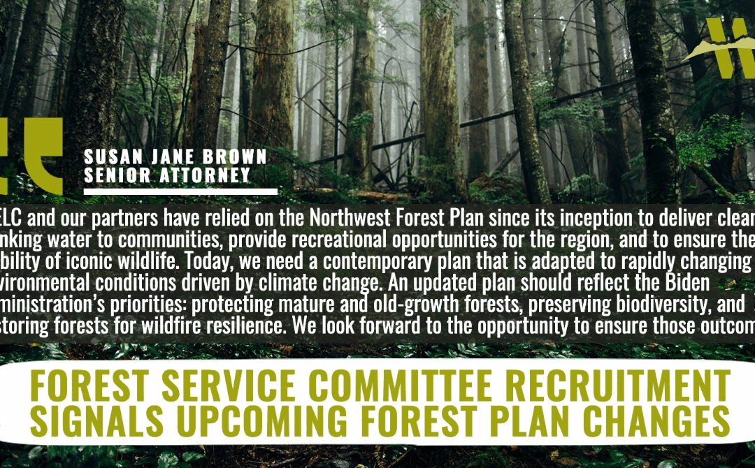 FACA SJ Quote Graphic