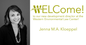 welcome to new development director jenna m.a. kloeppel