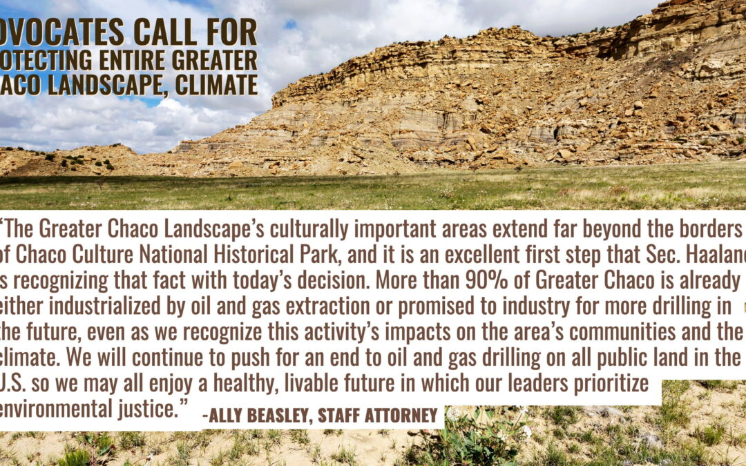 Ally Chaco Buffer Quote