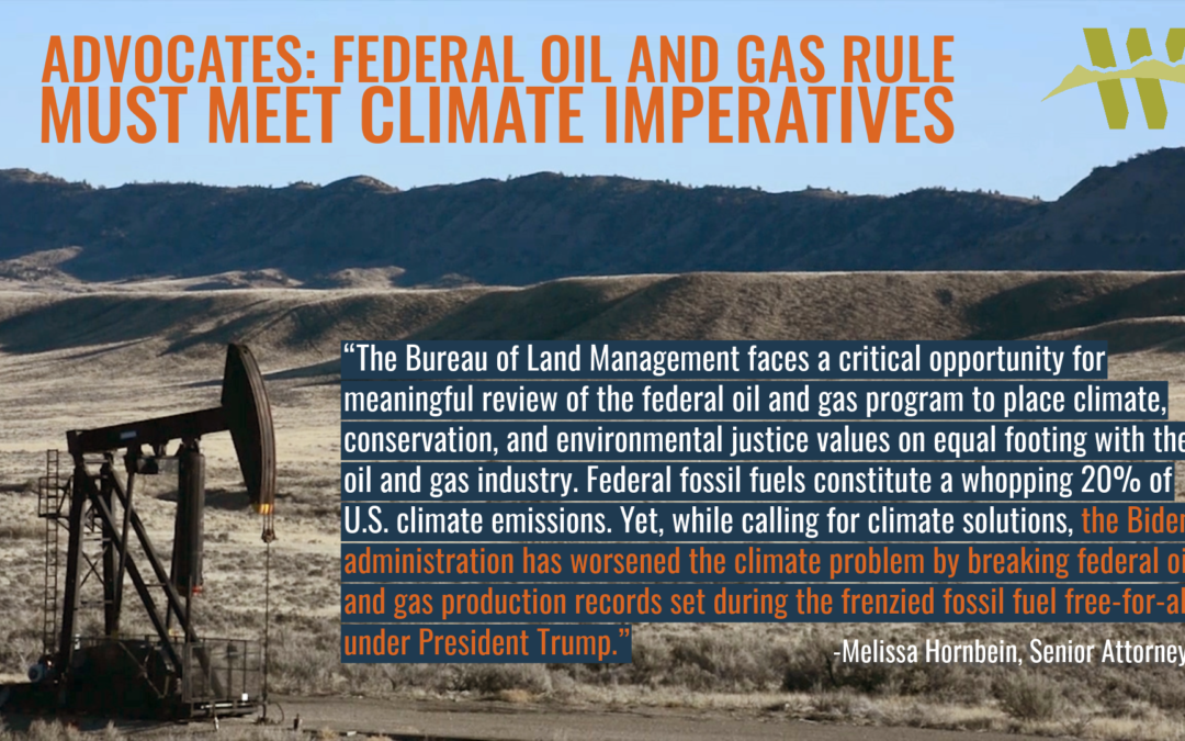 BLM oil and gas rule 2023-3