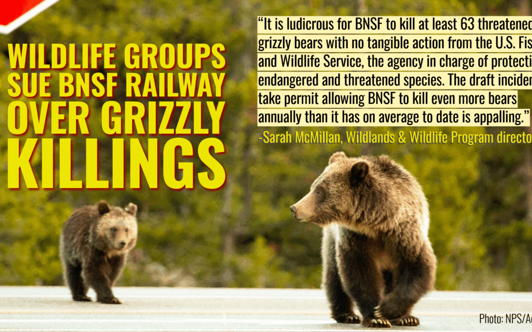 BNSF Filing-1