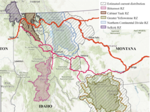 map of bnsf railways in montana and idaho through grizzly bear recovery zones