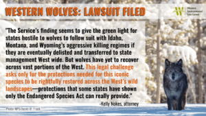 “The Service’s finding seems to give the green light for states hostile to wolves to follow suit with Idaho, Montana, and Wyoming’s aggressive killing regimes if they are eventually delisted and transferred to state management West wide,” said Kelly Nokes, an attorney with the Western Environmental Law Center representing the groups. “But wolves have yet to recover across vast portions of the West, and they exist in only small populations in the West Coast and Colorado habitats they are slowly reinhabiting. This legal challenge asks only for the protections needed for this iconic species to be rightfully restored across the West’s wild landscapes—protections that some states have shown only the Endangered Species Act can really provide.”