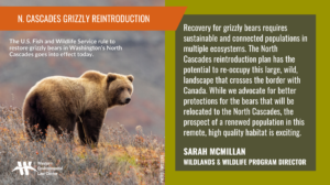 “Recovery for grizzly bears requires sustainable and connected populations in multiple ecosystems,” said Sarah McMillan, wildlands and wildlife program director for the Western Environmental Law Center. “The North Cascades reintroduction plan has the potential to re-occupy this large, wild, landscape that crosses the border with Canada. While we advocate for better protections for the bears that will be relocated to the North Cascades, the prospect of a renewed population in this remote, high quality habitat is exciting.”