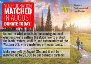 Donate to Western Environmental Law Center in August and your gift will be matched! Smaller text: No matter what unfolds in the coming national elections, we’re setting the stage now to protect the lands, waters, wildlife, and communities of the Western U.S. with a matching gift opportunity. Make your gift by August 31st and it will be matched up to $5,000 by our business partners!
