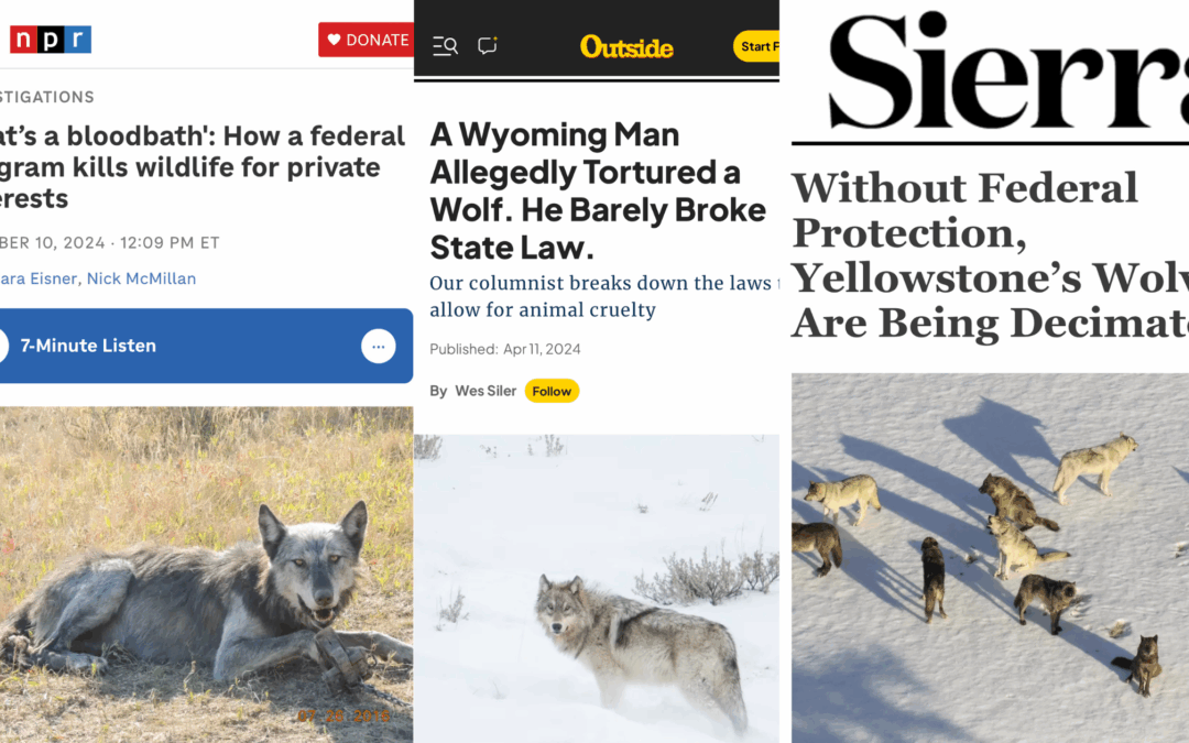 Anti-wolf propaganda