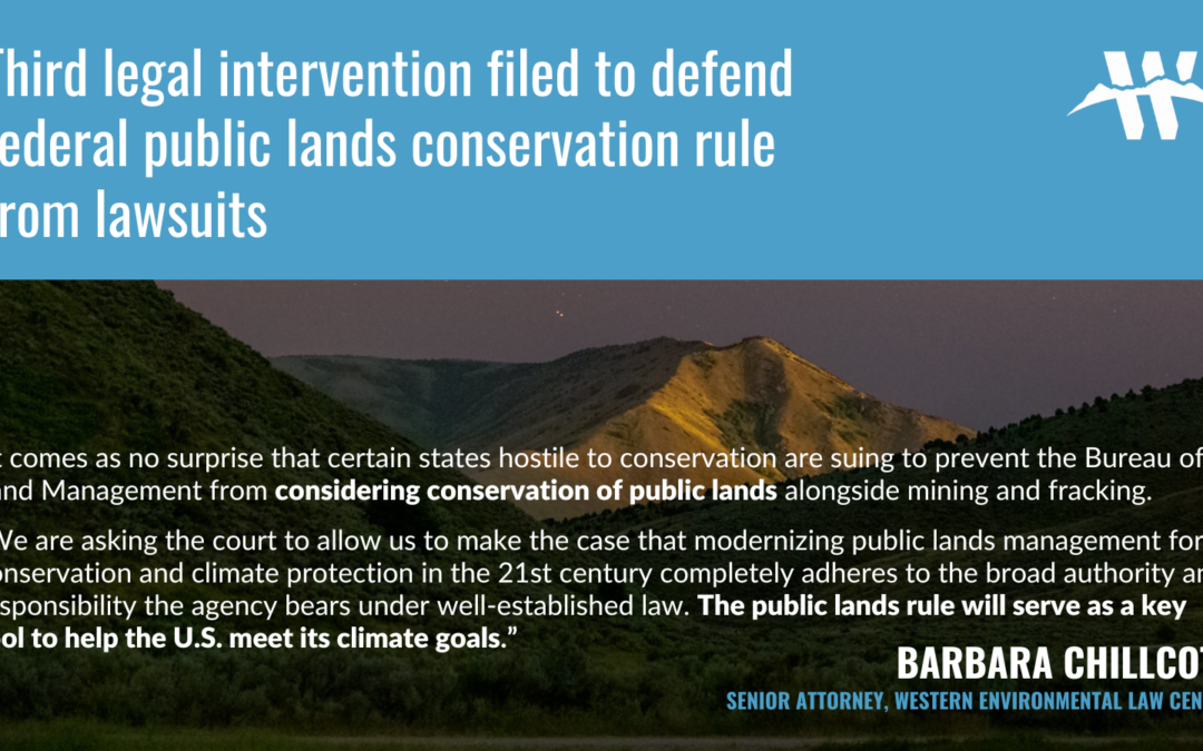 Third Intervention Public Lands Rule PR Social Post (Twitter Post)