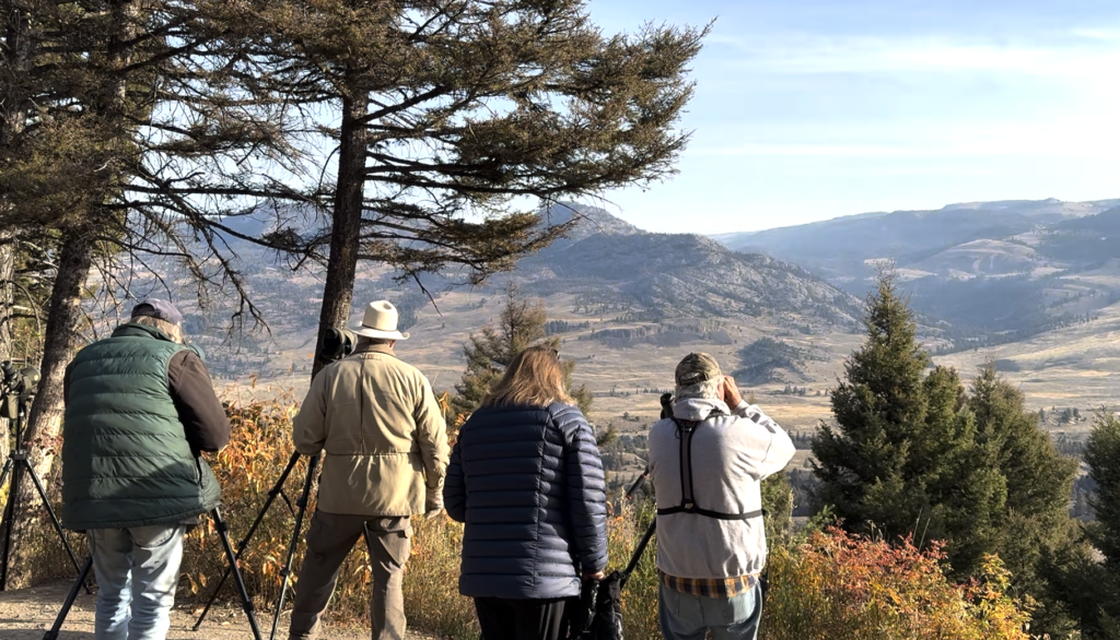 Wolf watchers gathered at a different view point to observe. 