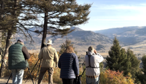 Wolf watchers gathered at a different view point to observe.