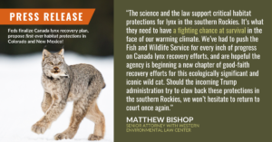 “The science and the law support critical habitat protections for lynx in the southern Rockies. It’s what they need to have a fighting chance at survival in the face of our warming climate,” said Matthew Bishop, senior attorney at the Western Environmental Law Center. “We’ve had to push the Fish and Wildlife Service for every inch of progress on Canada lynx recovery efforts, and are hopeful the agency is beginning a new chapter of good-faith recovery efforts for this ecologically significant and iconic wild cat. More work is required and we’d like to see more lands in Montana, Idaho, and Washington’s Kettle Range included, but the additions in the southern Rockies are a welcome change. Should the incoming Trump administration try to claw back these protections in the southern Rockies we won’t hesitate to return to court once again.”