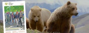 image with bears and welc newsletter